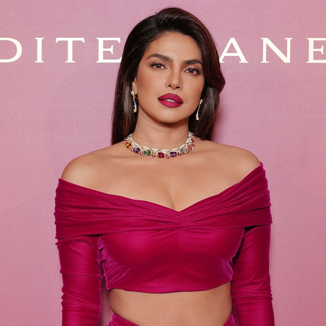 Priyanka Chopra Hits Red Carpet Amid Joe Jonas and Sophie Turner Split